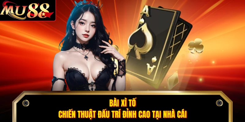 Bài Xì Tố - Chiến Thuật Đấu Trí Đỉnh Cao Tại Nhà Cái