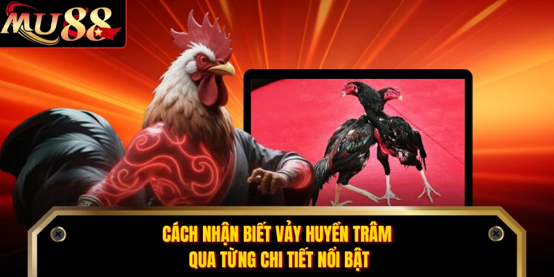 Cách nhận biết vảy huyền trâm qua từng chi tiết nổi bật