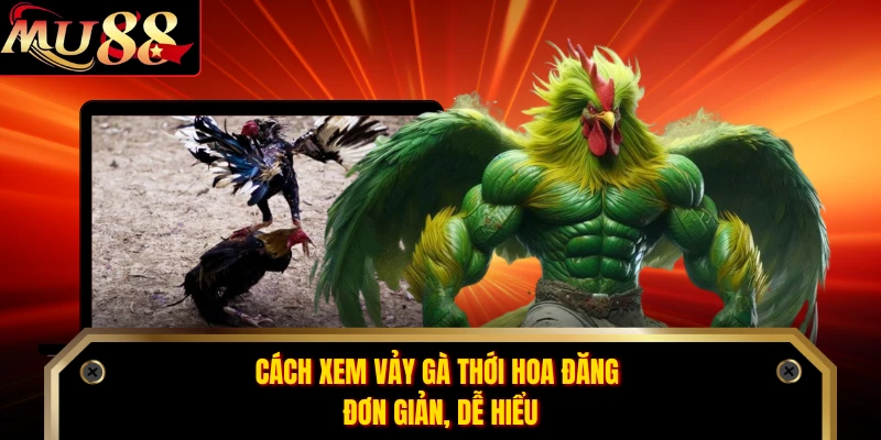 Cách xem vảy gà thới hoa đăng đơn giản, dễ hiểu