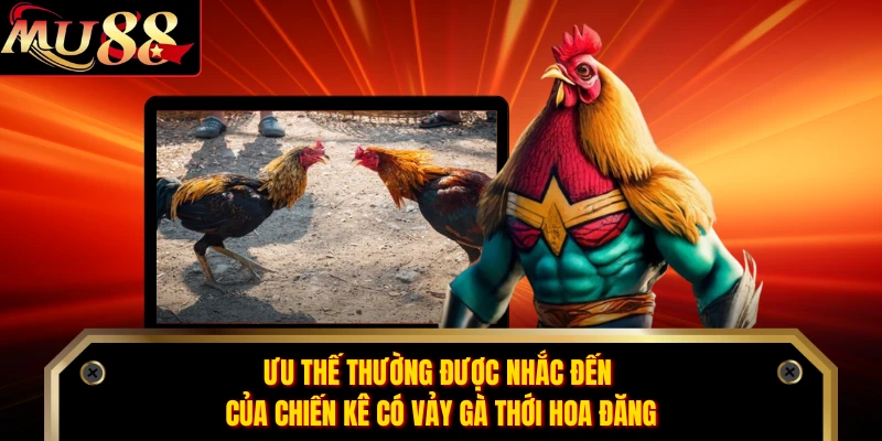 Ưu thế thường được nhắc đến của chiến kê có vảy gà thới hoa đăng