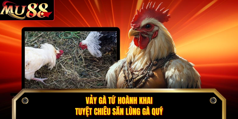 Vảy Gà Tứ Hoành Khai - Tuyệt Chiêu Săn Lùng Gà Quý